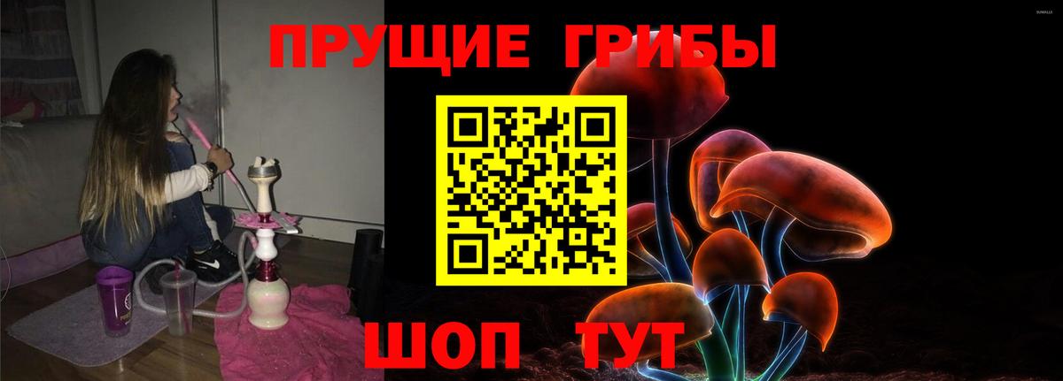 Химки  Псилоцибиновые грибы мухоморы  Вход с VPN  Псилоцибиновые грибы Cubensis 